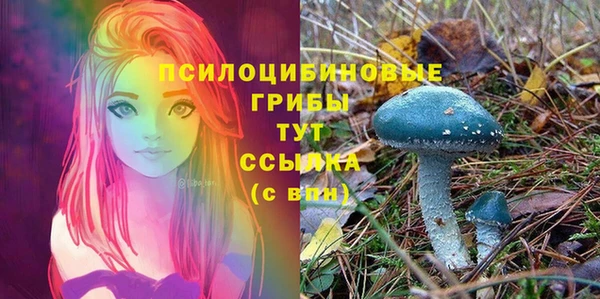 a pvp Богородицк