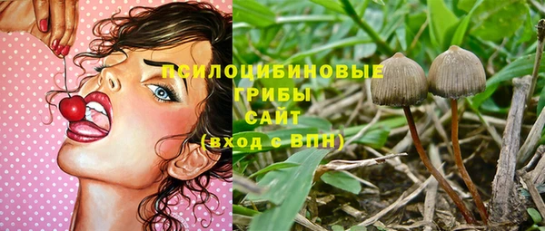 mix Белокуриха