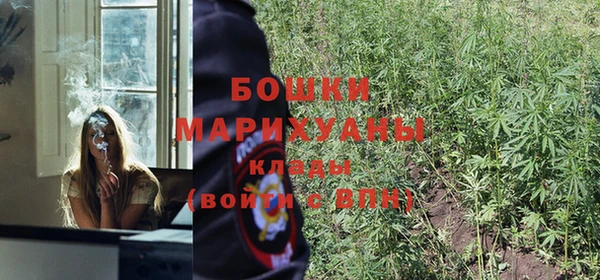 кокаин перу Богданович