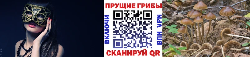 Галлюциногенные грибы мухоморы купить hydra Венёв